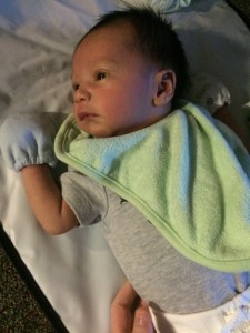 Gavin